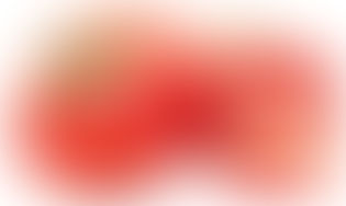 Le temps des tomates