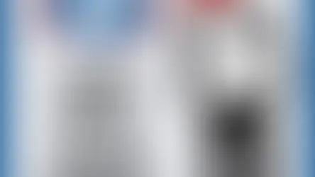 La LNI célèbre son jubilé : 50 ans