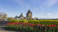 Célébrons ce printemps 2026