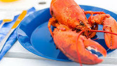 Notre homard en péril