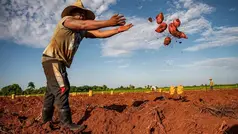 Cuba peut vivre et revivre si ....
