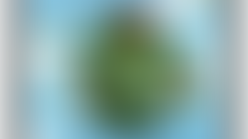 Magasiner dans le village global