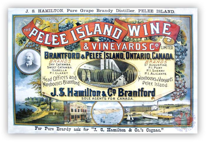 Pelée Island, le berceau du vin canadien