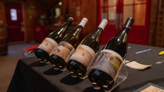 Les Vitis Vinifera du Domaine Labranche