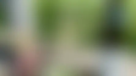 Toute une rentrée , 1996 à 2024 :