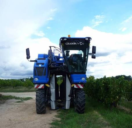Automatisation et serres pour les fruits et légumes et la vigne