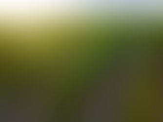 Américains et la SAQ