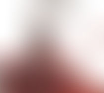 Mille femmes blanches