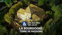 La Bourgogne, terre de passions