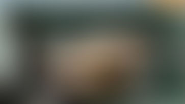 Nos poissons sont malades : attention à ce que vous mettez dans votre assiette