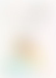 Les vins du Rhône 2024-2025