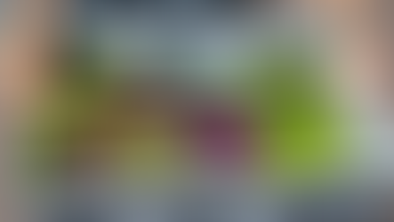 Toit vert du Palais des Congrès : des paniers de légumes