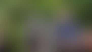 Lectures estivales et mon marché public