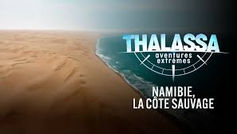 Semaine africaine sur TV5unis  