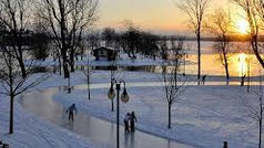 Patiner, un sport abordable pour toutes les générations