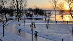 Patiner, un sport abordable pour toutes les générations