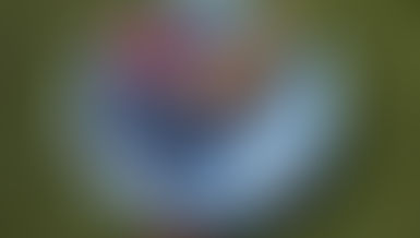 Les Grandes Vacances