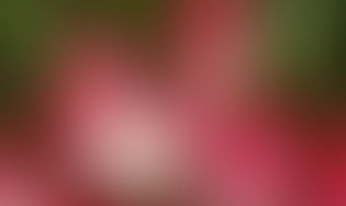 Manger santé toute l’année