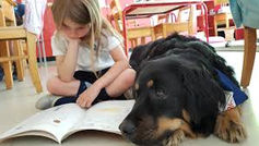 Journée internationale des chiens aidants (guides)
