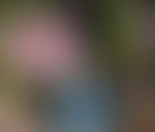 Coups de coeur printaniers