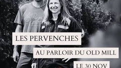 Dernière minute pour papa et les Pervenches 