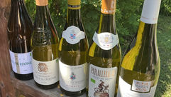 Tendance Vins frais avec 5 vins blancs