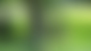 Et si on repensait notre façon de tondre la pelouse ! Petit guide pour gazon durable et plus vert