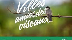 Nos oiseaux et les villes amies