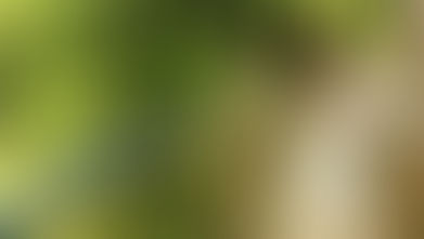 Un mariage au Costa Rica