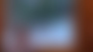 Voir les animaux en hiver