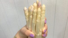 Les temps des Asperges