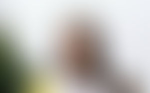 Trump n’aura pas le prix Nobel de la paix