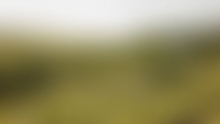 Dormir au cœur d'un vignoble : une escapade qui apaise les sens
