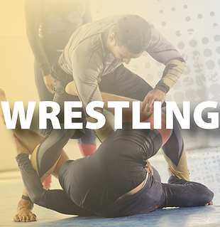 USC Sports - Wrestling Tile.png