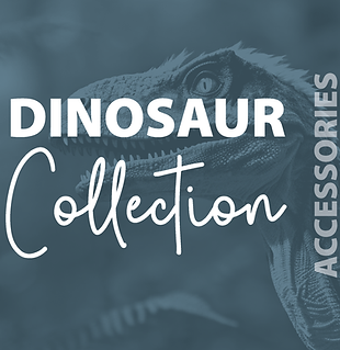 HRD - Dinosaur Accessories.png