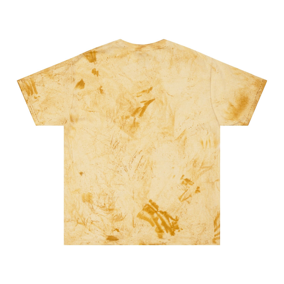 Thumbnail: Stallings Elementary Color Blast T-Shirt (Adult)