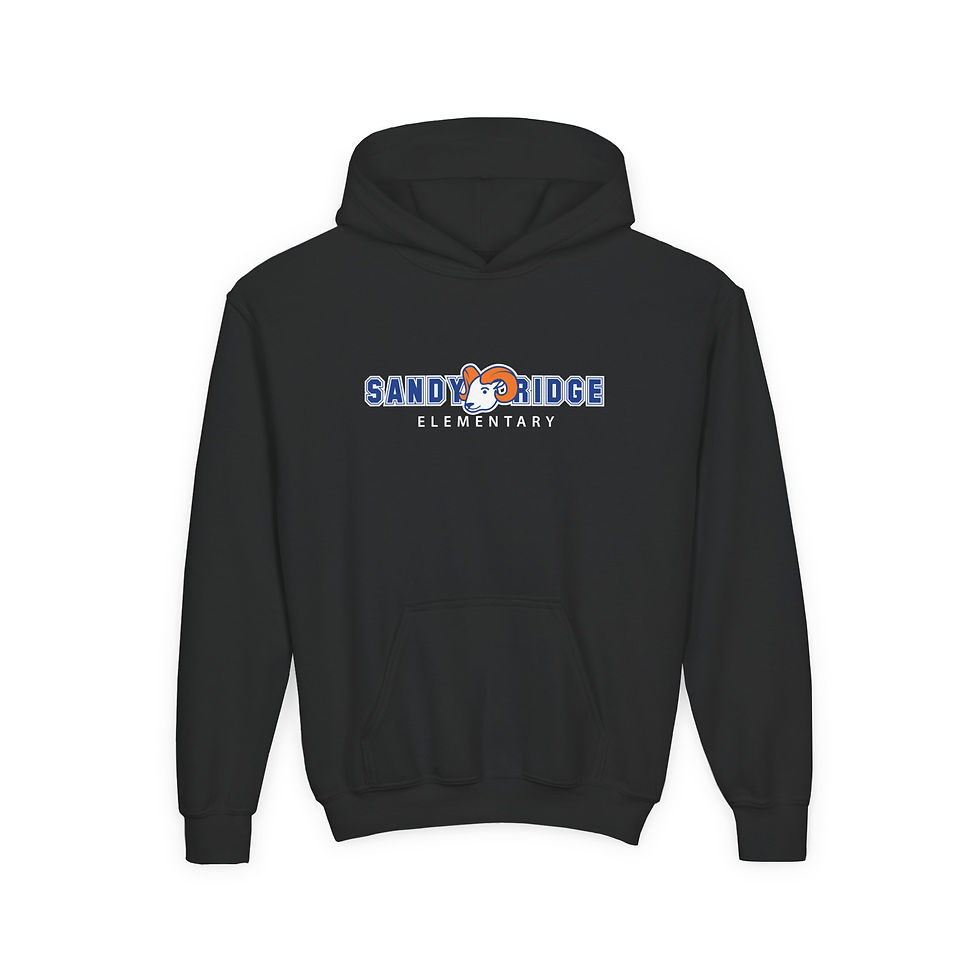 Thumbnail: Sandy Ridge Elementary  - Youth SR Varsity Hooded Sweatshirt