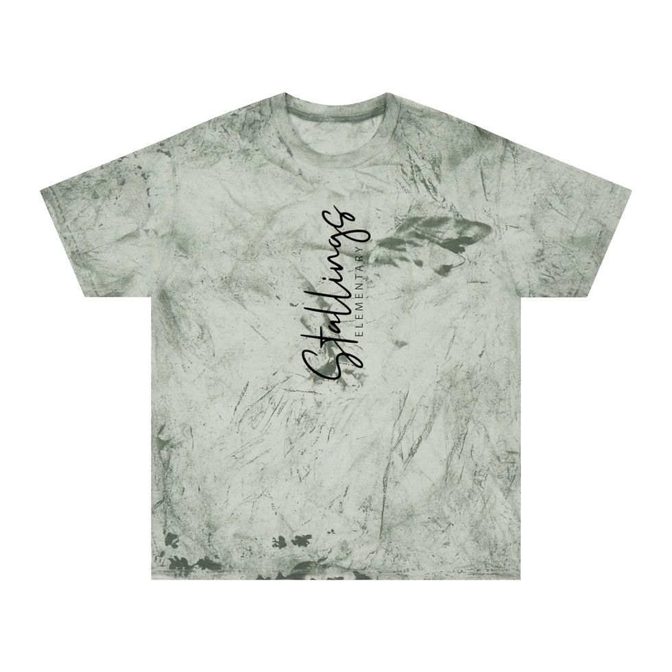 Thumbnail: Stallings Elementary Color Blast T-Shirt (Adult)
