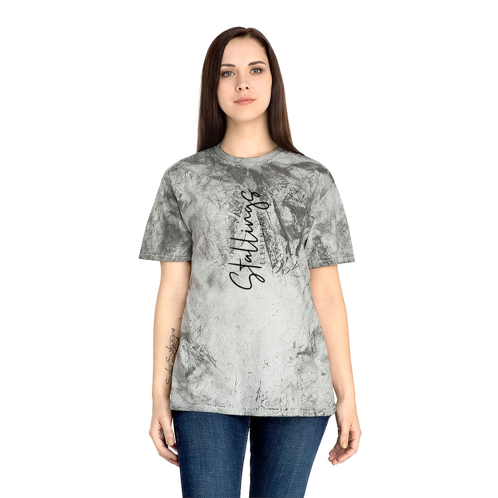 Thumbnail: Stallings Elementary Color Blast T-Shirt (Adult)