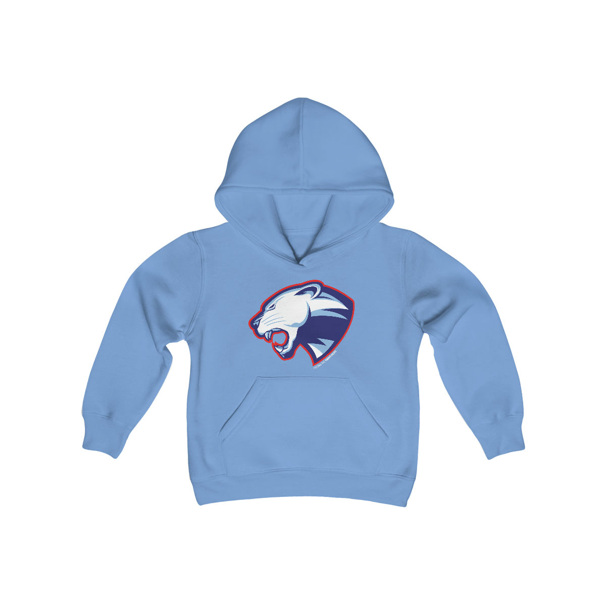 Piedmont Panthers - Youth Hooded Sweatshirt