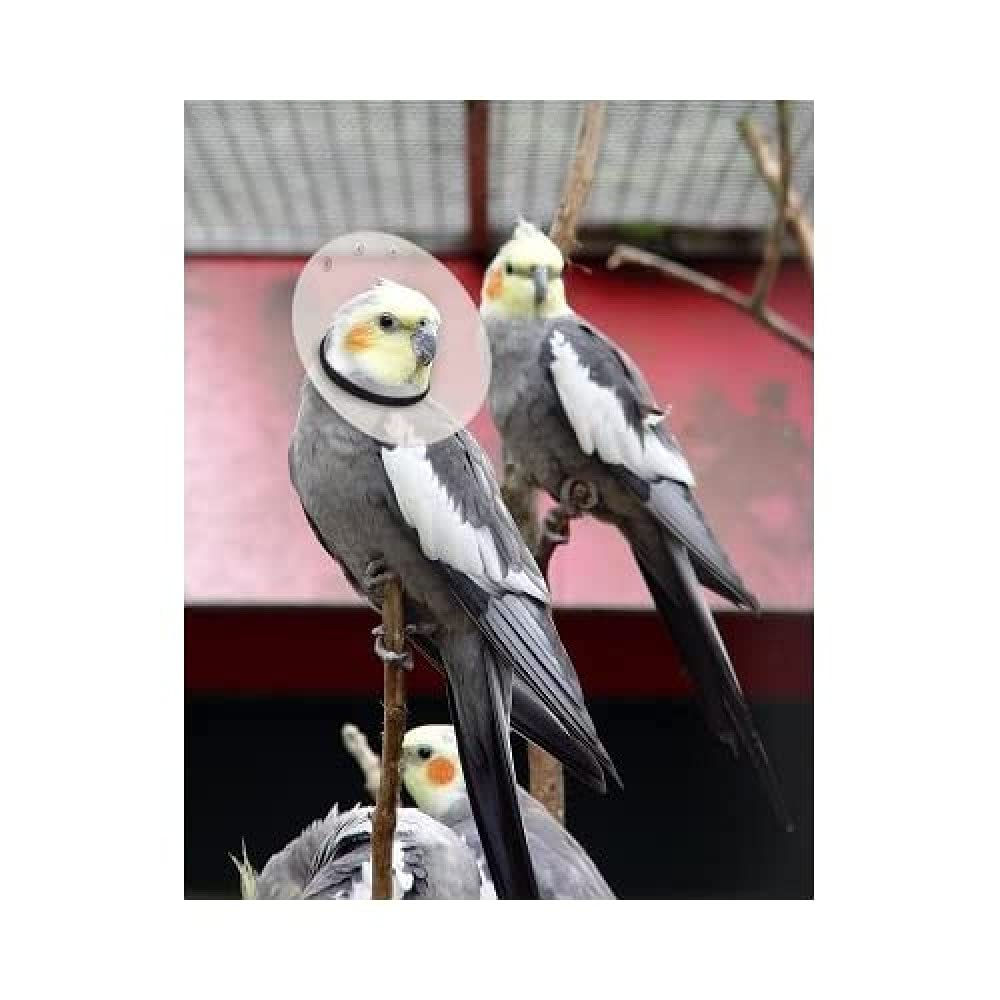 KVP Bird E-Collar 3.2-3.5"/8"