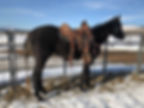 under saddle...