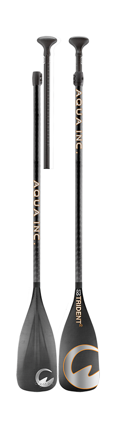 Thumbnail: TRIDENT²