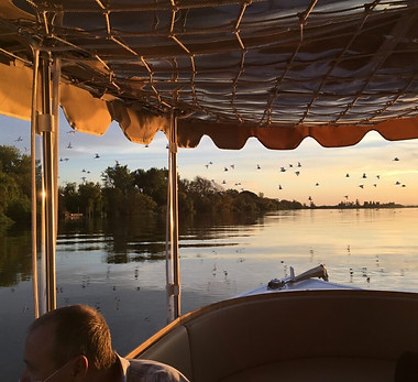 RIBATEJO BIRD WATCHING.jpg
