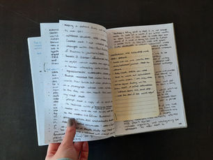 All the notes I took in my journal for this book.