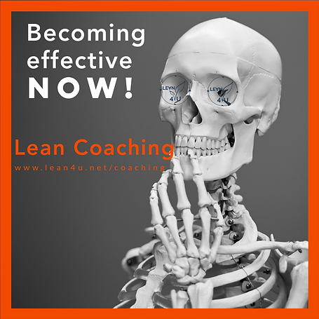 Lean coaching