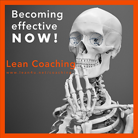 Lean Coaching