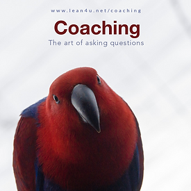 The art of asking questions