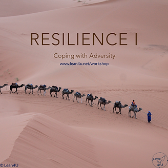 Resilience 1