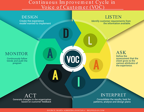 Voice of the Customer